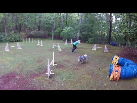 200516 ElaineBorisSeelieSnkE2