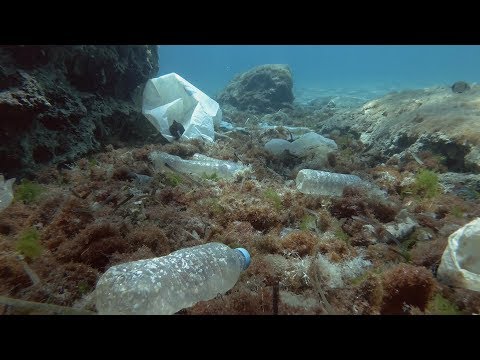 Closing the Loop on Plastic Waste | Unilever