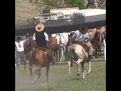 Monta el clina Enzo Adler en Campo El Solar en Crespo Entre Rios