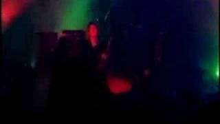 glay-coyote colord darkness