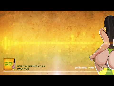 DJ Hard2Def & DeeBuzz ft. T.O.K - Back it up - Dancehall 2017