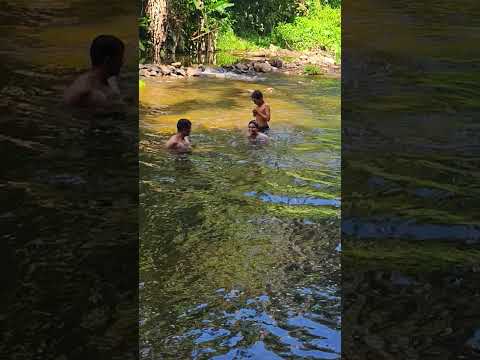 Essa cachoeira escondida em Schroeder (SC) é simplesmente incrível! 🌊😍