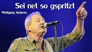 Wolfgang Ambros - Sei ned so gspritzt (Lyrics) | Musik aus Österreich mit Text
