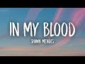Shawn Mendes In My Blood Lyrics