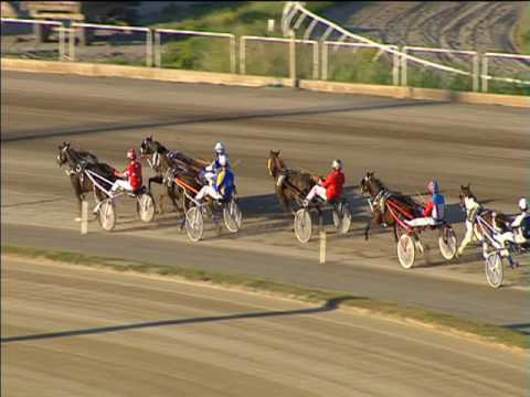 Trotto 01/05/2017 - 1ª corsa minitrotter