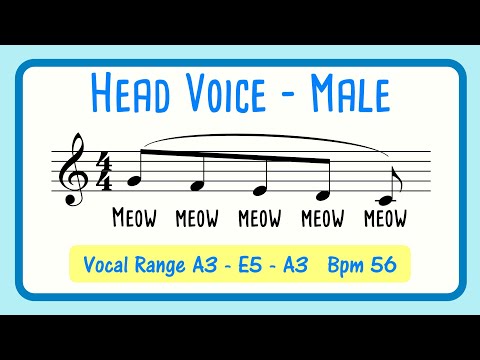 Head Voice & Falsetto Exercise for Male Singers | Meow Warm Up Head