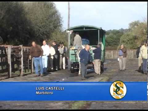 LUIS CASTELLI - 06/05/2013 - Sucesores de Brivio y Cía. S.R.L. - Tandil