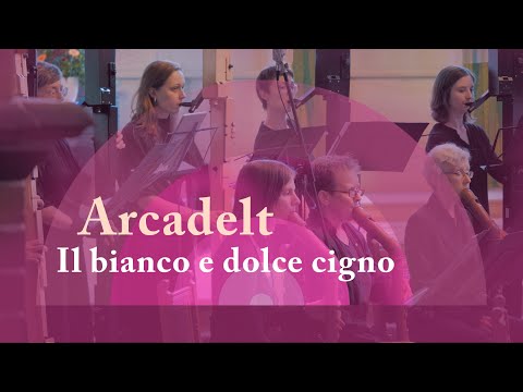 Jacob Arcadelt - Il bianco e dolce cigno - Berliner Blockflöten Orchester