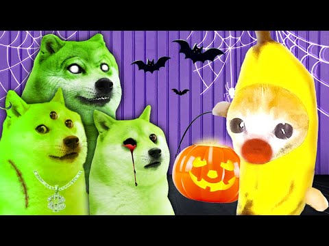 🎃 Banana Cat’s Haunted Halloween Party with Evil Doges 👻💚🐱 Banana Cat Compilation | Cat MEME 😿