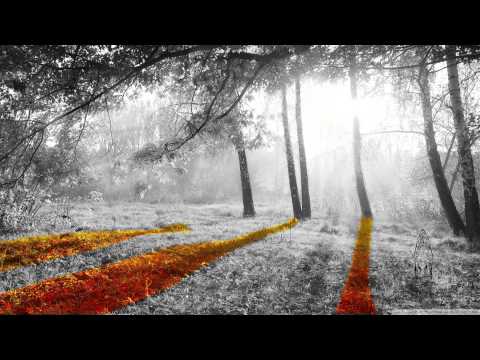 Niconé Sascha Braemer feat Limon - Stay (Stil vor Talent) [Deep House] HQ