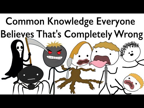 Common Knowledge Everyone Believes That's Completely Wrong