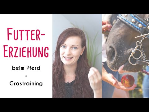 Futterlob & Futtererziehung beim Pferd + Grastraining!
