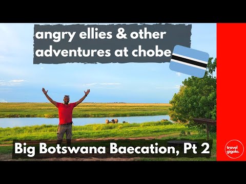 Big Botswana Baecation, Part 2: Chobe Riverfront, Chobe Nat. Park (Overlanding Botswana Self Drive)