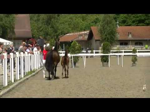 Hot Chocolate RR -  v. Hot Spirit / Rubinstein