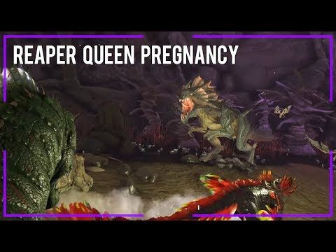 Ark Survival Evolved   Getting pregnant from a Reaper Queen