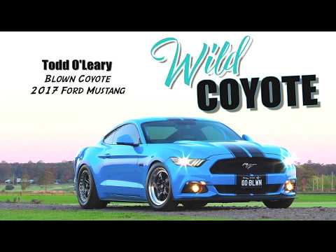 KILLER RIDES MAGAZINE #18_2017 MUSTANG