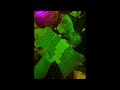 LUCKI F1LTHY Sparks Vision 396hz