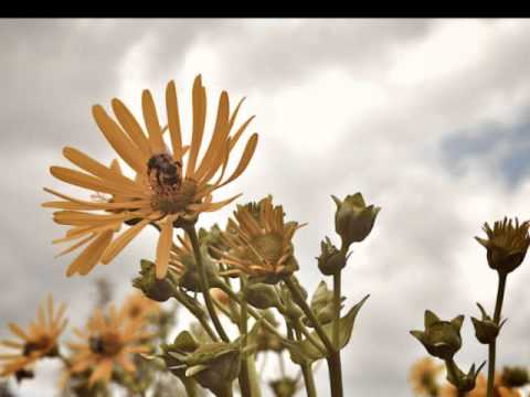 Relax to the Bible - Psalm 47