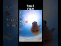 Best Fish Lll Memes Fish Fishing Funny