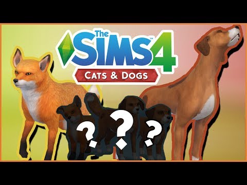 What If The Fox & The Hound Had Puppies?! 🐱🐶 Sims 4: Cats & Dogs