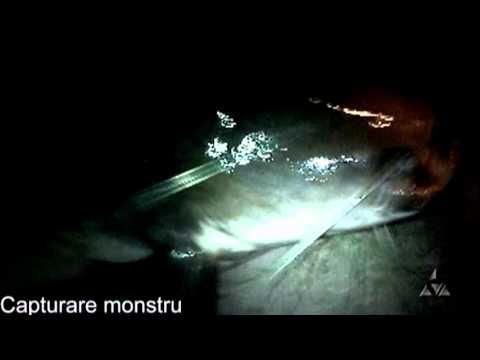Monstru - Dril & captura