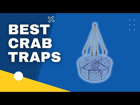 Top 3 Best Crab Traps in 2023