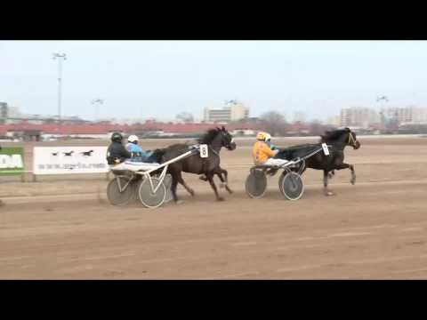 2017.02.11. 4. futam - AMATŐRVERSENY HENDIKEP