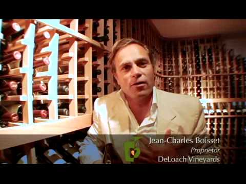 DeLoach Vineyards Vinthropic Chardonnay