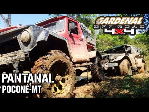 Expedição 4x4 Pantanal Extremo Poconé-MT