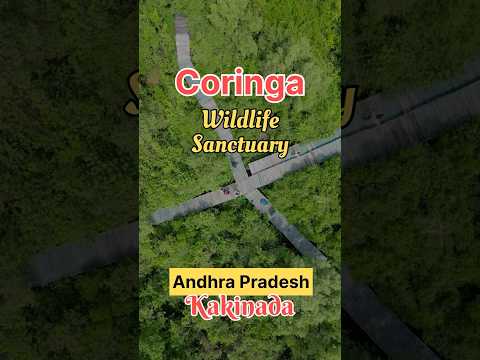 Coringa Wildlife Sanctuary #shorts