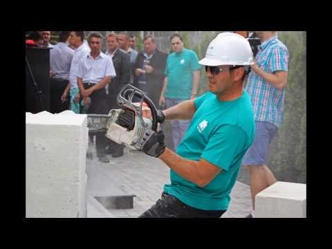 SCULPTURA BAICU NICOLAE- RADESTI- ARGES