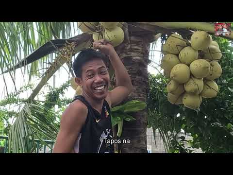 Baak Andres - Buko Ni Baak