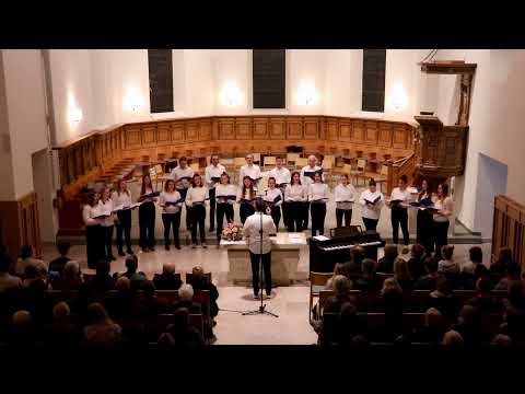 Aya Ngena - trad. Zulu | 23e Chor-Cover