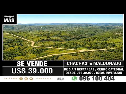 Video de YouTube - Chacra Venta Cerro Catedral Maldonado iMas.uy FM *