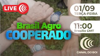 Miniatura do vídeo
