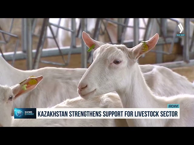 Kazakhstan strengthens support for livestock sector