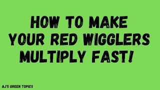 How To Make Your Red Wigglers Multiply Quickly!/ Red Wigglers