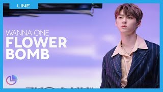 WANNA ONE - FLOWERBOMB|Line Distribution|Color Coded|워너원-불꽃놀이