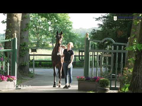 Cat. No 1: Farzarina (Fürstenball x San Amour I)