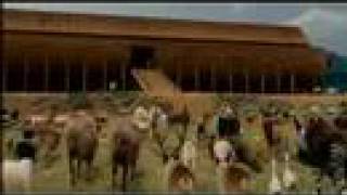 Noah's Ark Animal Parade 2