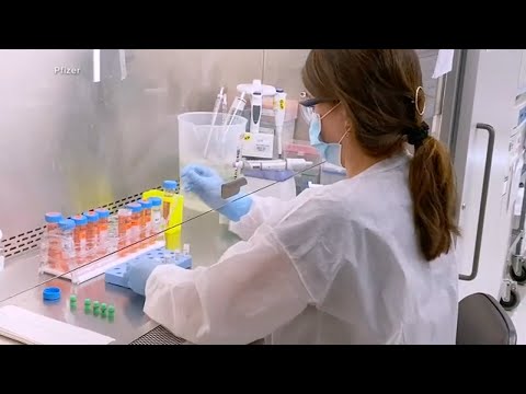 What are the symptoms of Hantavirus, treatment, risks?