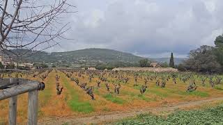 11 Marzo 2026: Frontignan, Occitanie, Sud de la France