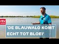 Kunnen we deze zomer nog zwemmen in Drenthe? | RTV Drenthe