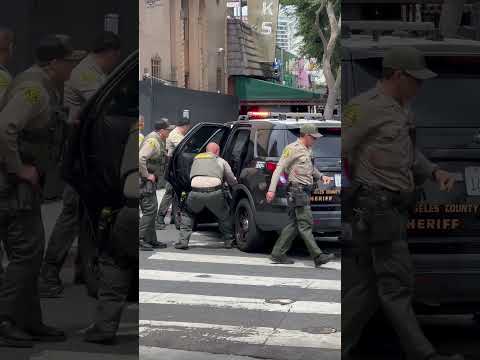 The Los Angeles Sheriff’s Department Force A Suspect Into Their Patrol Vehicle In #westhollywood