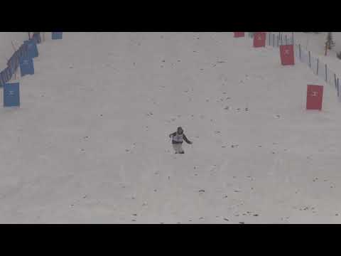 Nick Page US Freestyle JR Nationals Mens Qualification Run 1 March 7 2019