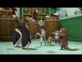 The Penguins Of Madagascar - No One Will Be Sucking Seed