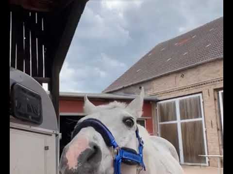 Reiterhof Steindamm / 17.05.20 🌸💋❤️