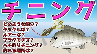 チニングの極意