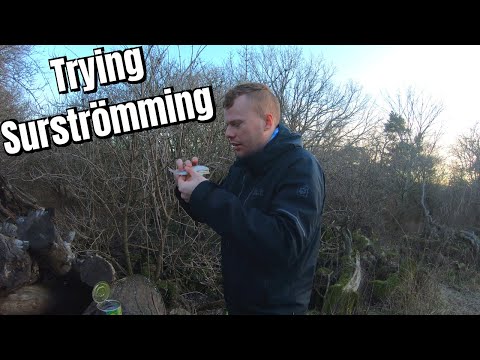 Swedish Recipe for Disaster: Australian tries Surströmming