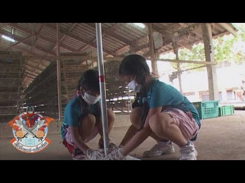 คลิกเพื่อดูคลิปวิดีโอ